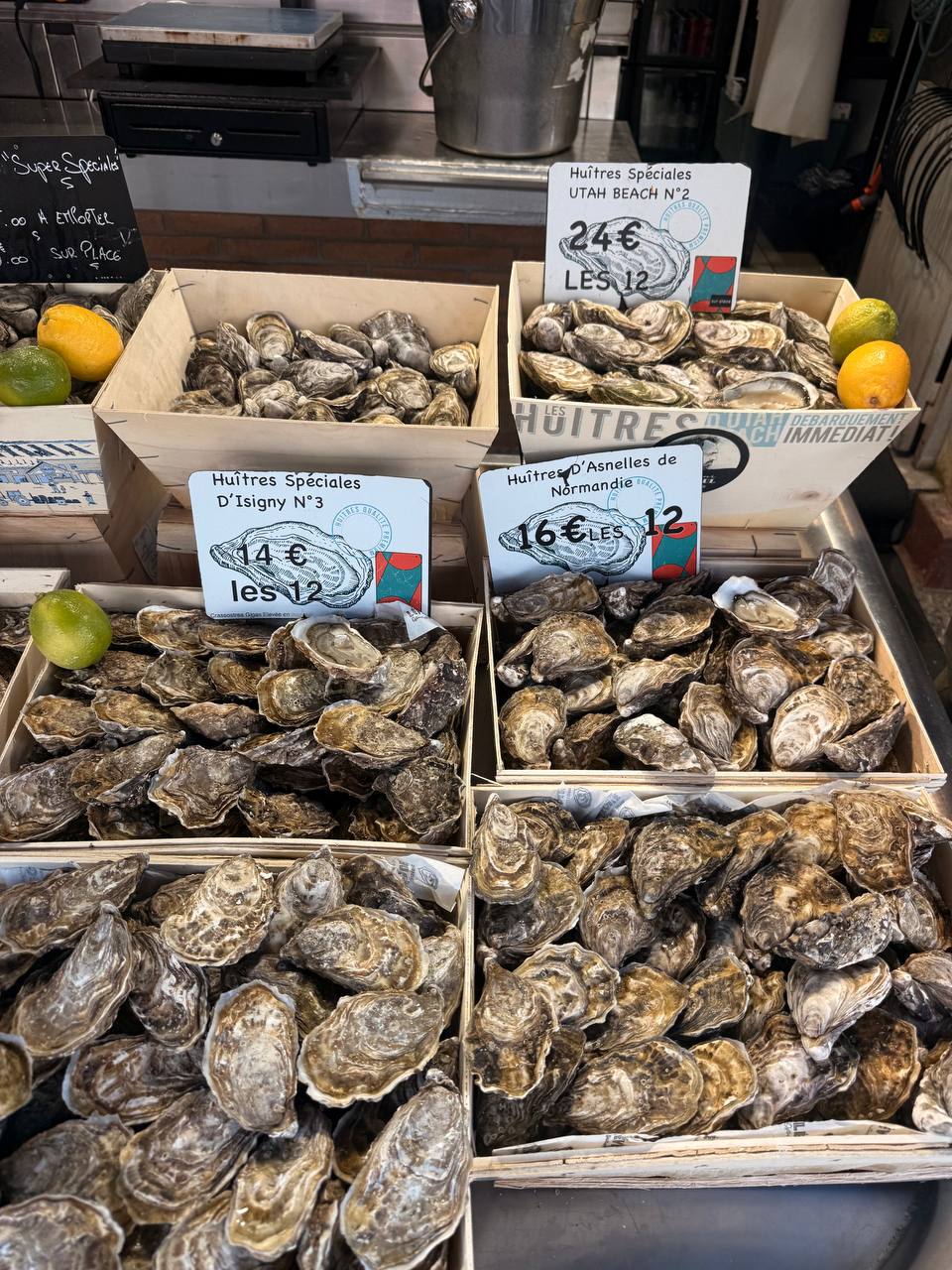 photo_2026-03-12 17.50.15